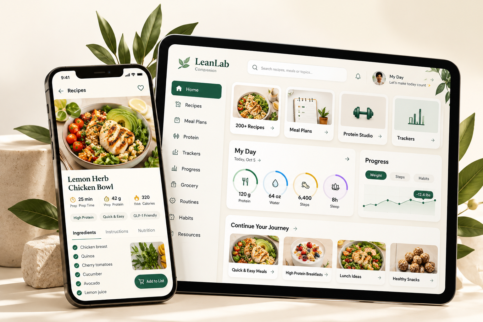 LeanLab Companion app